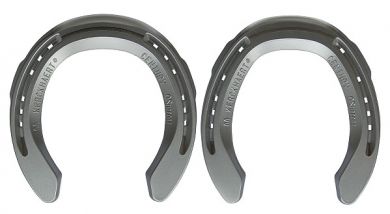 KERCKHAERT Alu-CenturySupport, 21x9 / Gr.00v mit 2SK u. Stahlsteg (St.) 