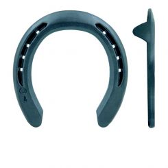 KERCKHAERT-MEISTER-MOTION 19x8, Gr.1v mit 2 SK (Stück) 