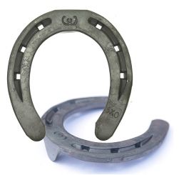 WERKMAN-Ryder 15x6, Gr.7x0v mit ZK (Kt. a 20) 