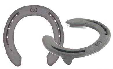 WERKMAN-WARRIOR-SPECIAL 21x8, Gr.00v mit 2SK(2/3) (Kt. a 20) 