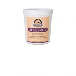 HAWTHORNE-Solepack, desinfizierend (Eimer) 