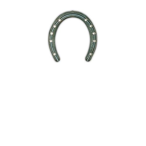 Artikelbild des Artikels “Profileisen für DALLMER- Cuff, vorgebohrt (Paar) “