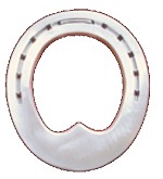 COLLEONI-Alu-Eiereisen UPBB breiter Steg, 10mm, flach, Seitenkappen (Stück) 