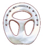 COLLEONI-Alu-Sternbar-Eisen PPSK, 10 mm, flach, o.K., schlank, breiter Steg (Stück) 