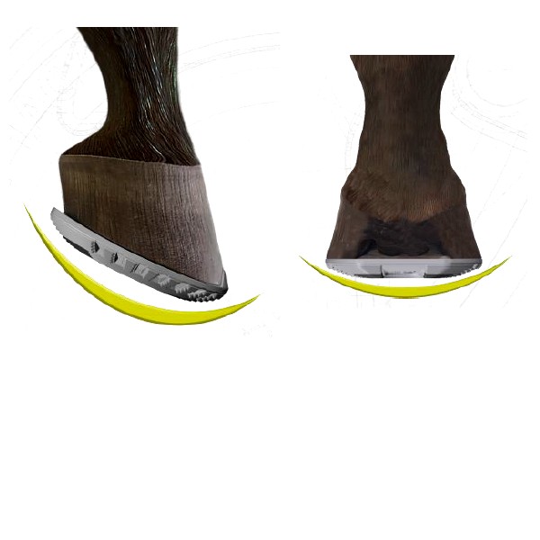 Artikelbild 2 des Artikels “VISANI-Full-Roll-Beschlag Gr.2 (BLD = 146x156x16 / Paar) “