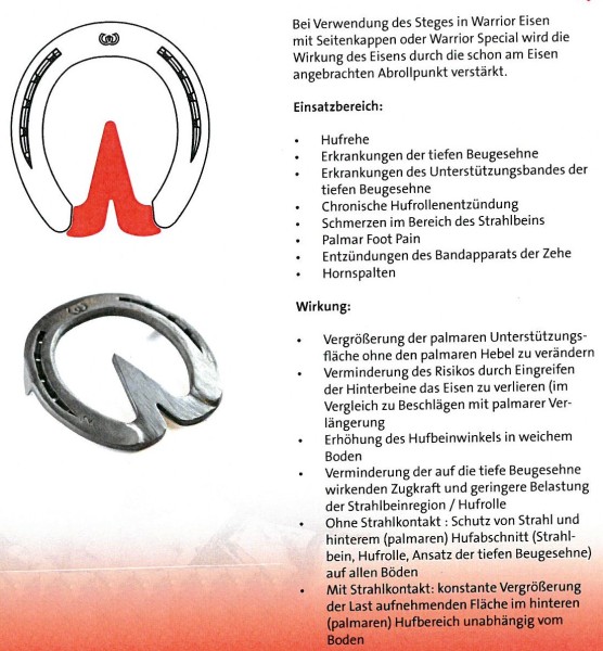 Artikelbild 3 des Artikels “Werkman-Orthokit-Eins, Herzeisen-Steg (1 St.) “